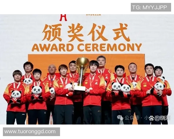 世界杯预选赛点评：北京乒乓球队的速度表现